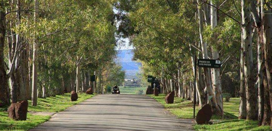01798 SE VENDE TERRENO EN EDEN LOS SABINOS.