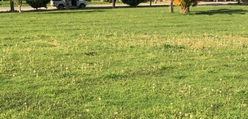 01798 SE VENDE TERRENO EN EDEN LOS SABINOS.