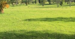 01798 SE VENDE TERRENO EN EDEN LOS SABINOS.