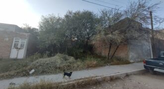 02707 SE VENDE TERRENO AL SUR PONIENTE DE LA CIUDAD EN LOS NEGRITOS, AGUASCALIENTES. 