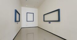 02917 MAGNIFICA OPORTUNIDAD RENTA DE EDIFICIO Y BODEGA PARA SPA O GYM CÉNTRICO EN AGUASCALIENTES