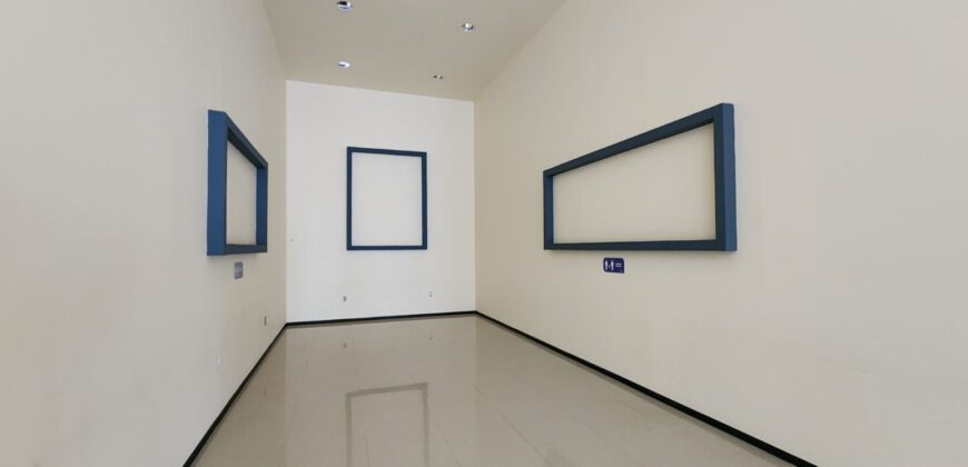 02917 MAGNIFICA OPORTUNIDAD RENTA DE EDIFICIO Y BODEGA PARA SPA O GYM CÉNTRICO EN AGUASCALIENTES