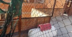 03025 VENTA DE DEPARTAMENTO EN ZONA CENTRO DE LA CD AGUASCALIENTES 