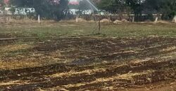03167 VENTA DE HECTARIAS EN RUISEÑORES, JALISCO
