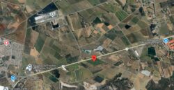 03167 VENTA DE HECTARIAS EN RUISEÑORES, JALISCO