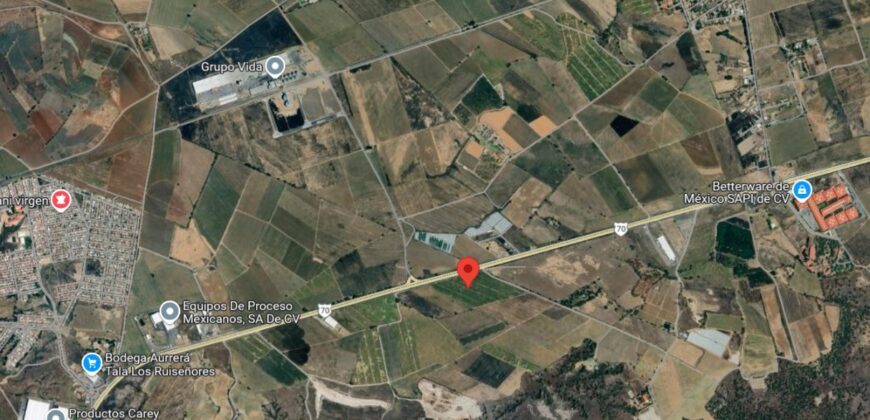 03167 VENTA DE HECTARIAS EN RUISEÑORES, JALISCO