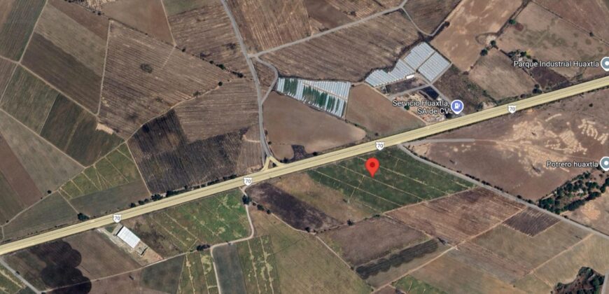 03167 VENTA DE HECTARIAS EN RUISEÑORES, JALISCO