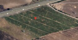 03167 VENTA DE HECTARIAS EN RUISEÑORES, JALISCO