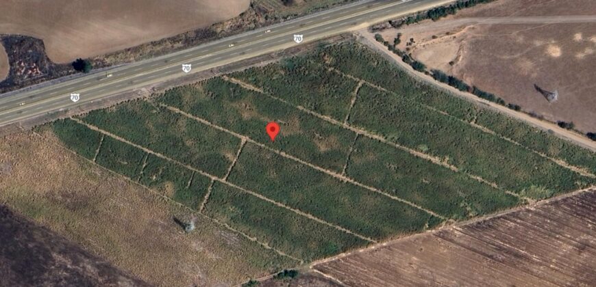 03167 VENTA DE HECTARIAS EN RUISEÑORES, JALISCO